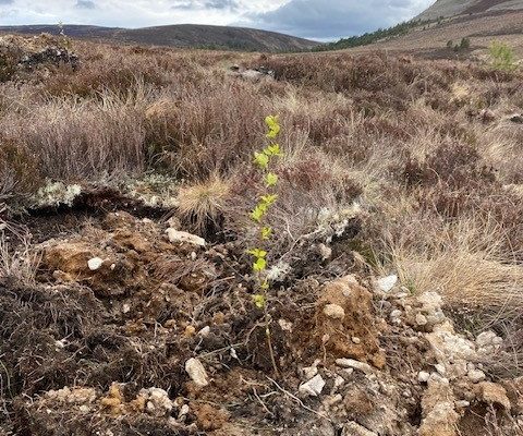 Cairngorms National Park